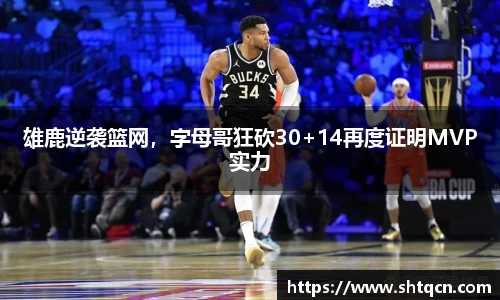 qy球友会体育