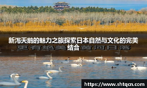 球友